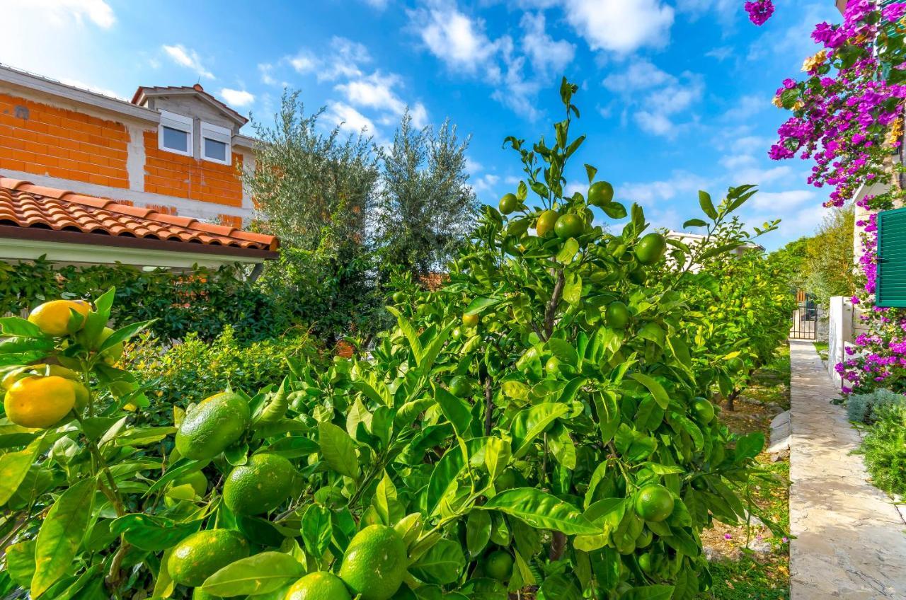 Apartments Mate Τρογκίρ Εξωτερικό φωτογραφία